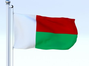 animated madagascar flag 3D Model