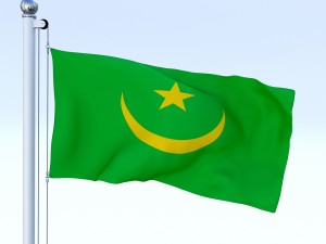 animated mauritania flag 3D Model