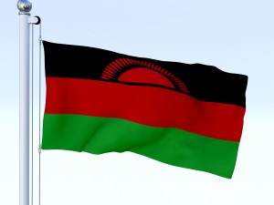 animated malawi flag 3Dモデル