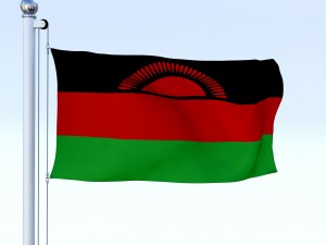 animated malawi flag 3Dモデル