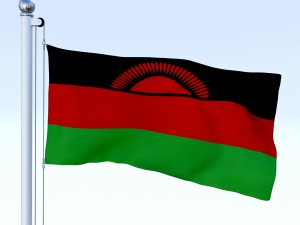 animated malawi flag 3Dモデル