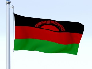 animated malawi flag 3Dモデル