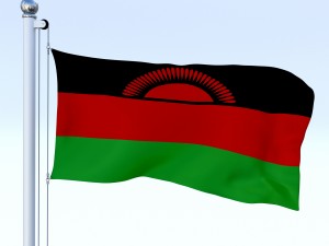 animated malawi flag 3Dモデル