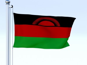 animated malawi flag 3Dモデル