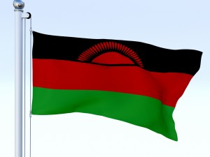 animated malawi flag 3Dモデル