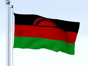 animated malawi flag 3Dモデル