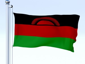 animated malawi flag 3Dモデル