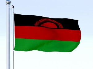 animated malawi flag 3Dモデル