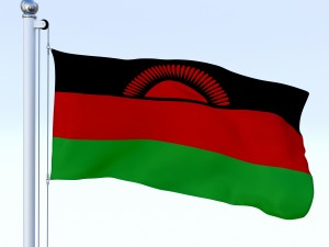 animated malawi flag 3Dモデル