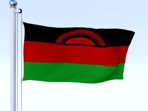 animated malawi flag 3Dモデル