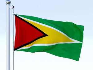 animated guyana flag 3D Model