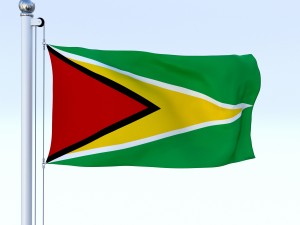 animated guyana flag 3D Model