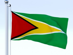 animated guyana flag 3D Model