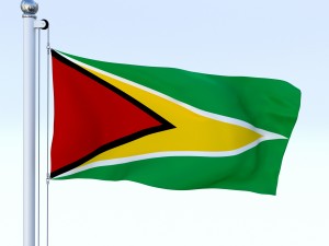 animated guyana flag 3D Model