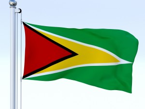 animated guyana flag 3D Model