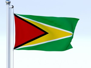 animated guyana flag 3D Model