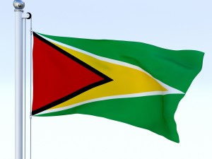 animated guyana flag 3D Model