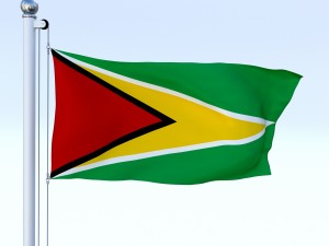 animated guyana flag 3D Model