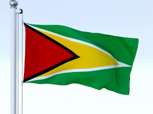 animated guyana flag 3D Model