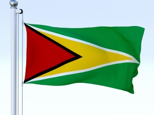 animated guyana flag 3D Model