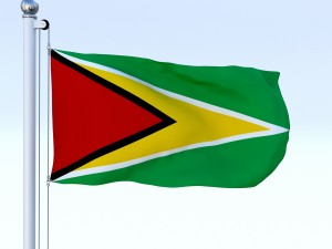 animated guyana flag 3D Model