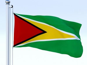 animated guyana flag 3D Model
