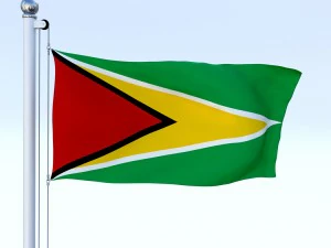 animated guyana flag 3D Model