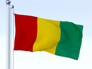 animated guinea flag 3D 모델