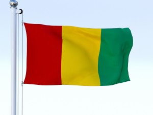 animated guinea flag 3D Модель