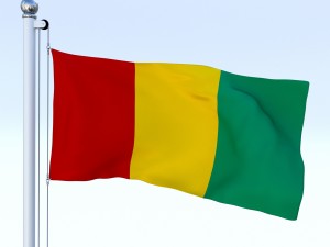 animated guinea flag 3D Модель