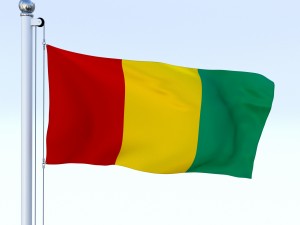 animated guinea flag 3D Модель