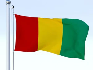 animated guinea flag 3D Model