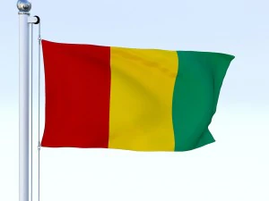 animated guinea flag 3D Model