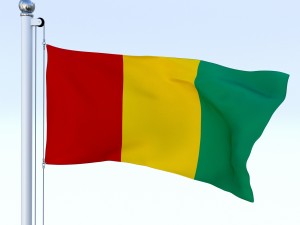 animated guinea flag 3D Модель