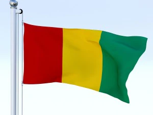animated guinea flag 3D Model