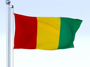 animated guinea flag 3D Модель