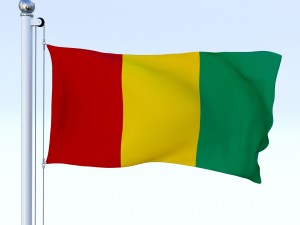 animated guinea flag 3D Модель