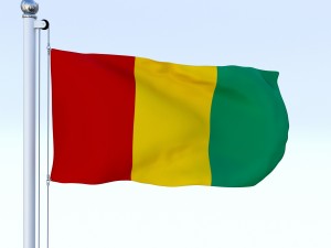 animated guinea flag 3D Модель