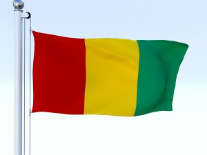 animated guinea flag 3D Модель