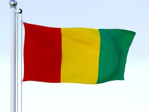 animated guinea flag 3D Model
