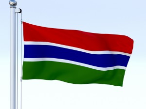 animated gambia flag Modèle 3D