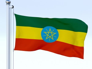 animated ethiopia flag 3D 模型