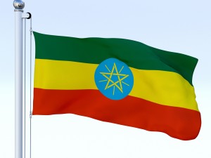 animated ethiopia flag 3D 模型