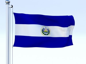 animated el salvador flag 3D Model