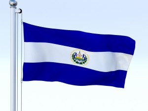 animated el salvador flag 3D Model