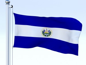 animated el salvador flag 3D Model