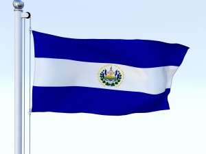 animated el salvador flag 3D Model