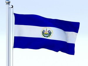 animated el salvador flag 3D Model