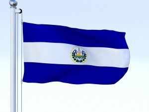 animated el salvador flag 3D Model