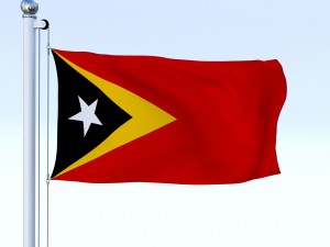 animated east timor flag Modelo 3D